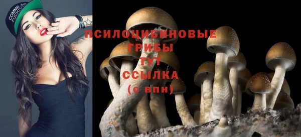 mix Краснотурьинск