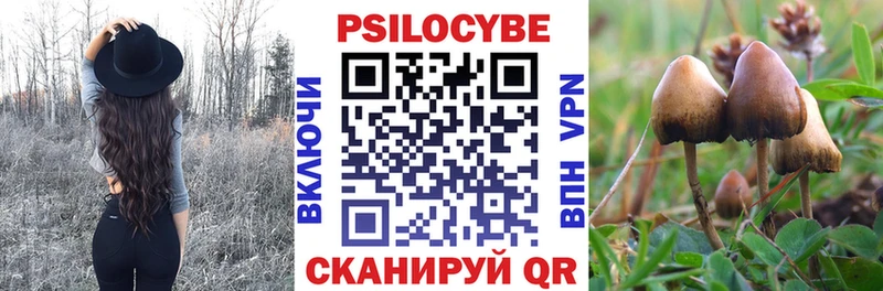 Псилоцибиновые грибы MAGIC MUSHROOMS  Купить где  Киржач 